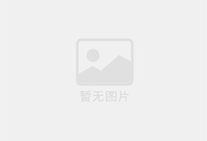 多米诺喷码机耗材